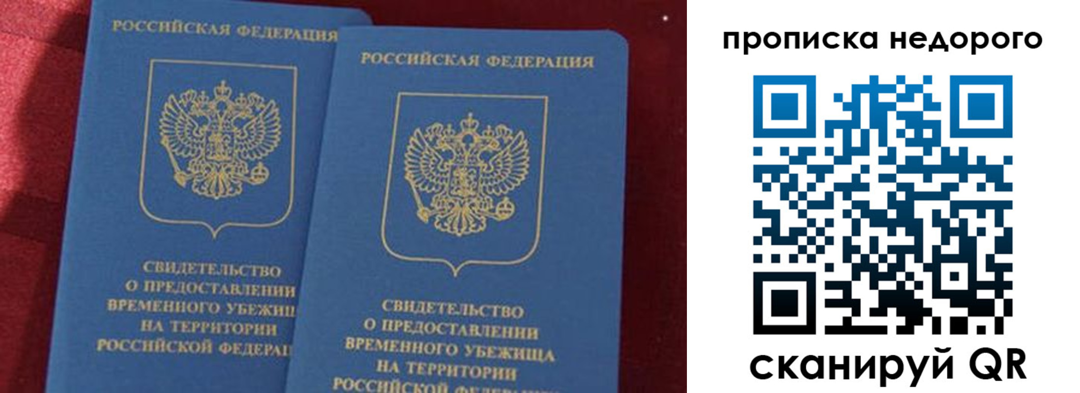 прописка гарантия в Купино
